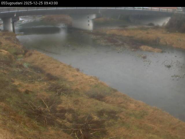 最新監視カメラ画像