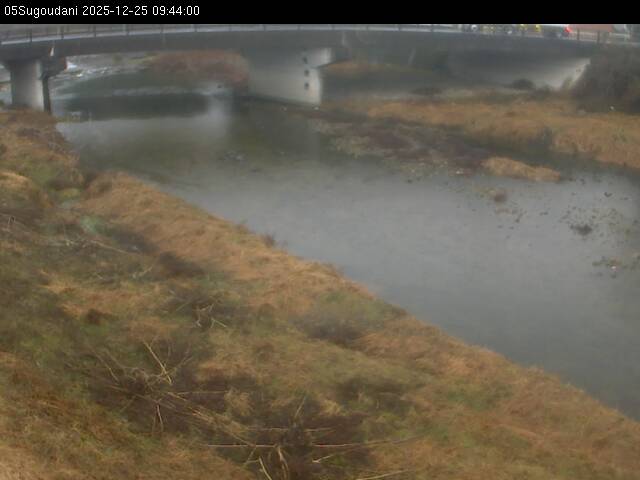 最新監視カメラ画像