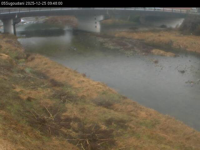 最新監視カメラ画像