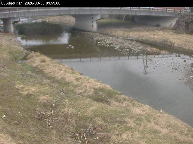 最新監視カメラ画像