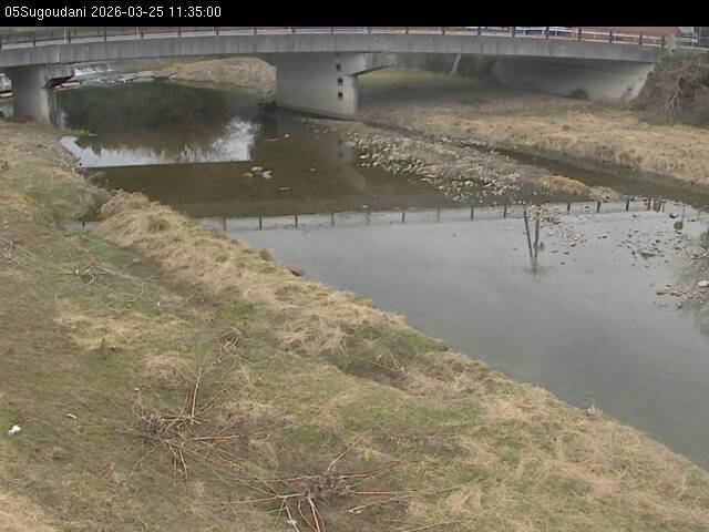 最新監視カメラ画像