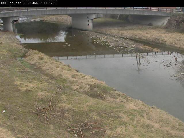 最新監視カメラ画像