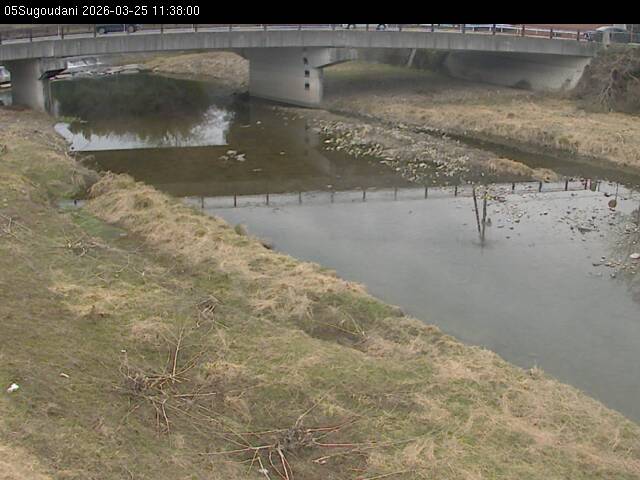 最新監視カメラ画像