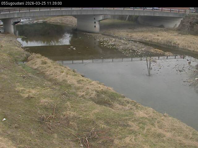 最新監視カメラ画像