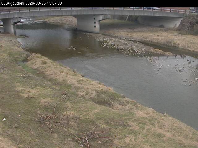 最新監視カメラ画像