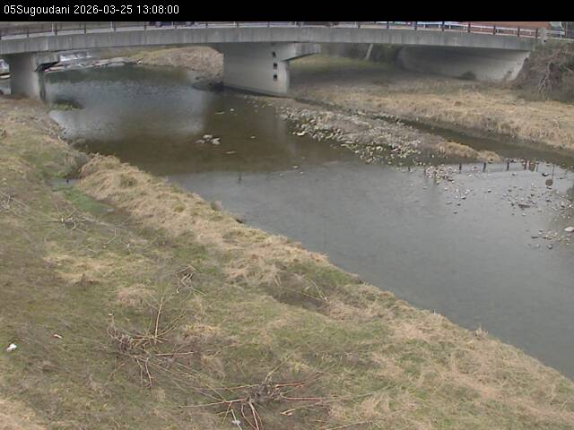 最新監視カメラ画像