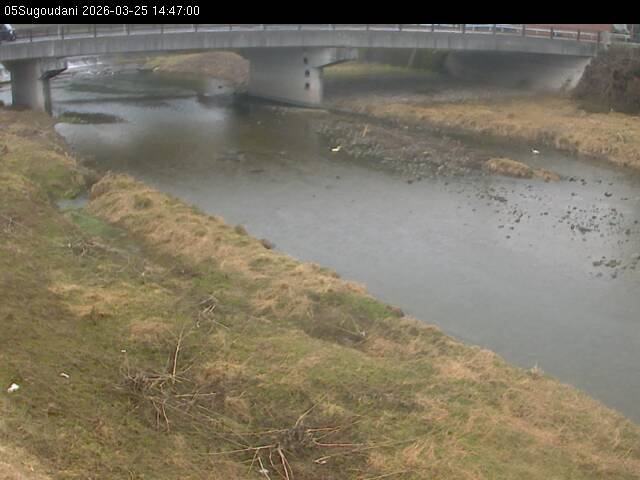 最新監視カメラ画像