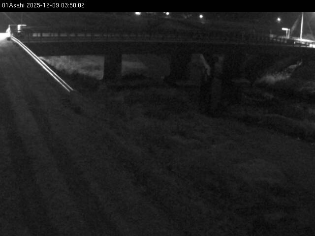 最新監視カメラ画像