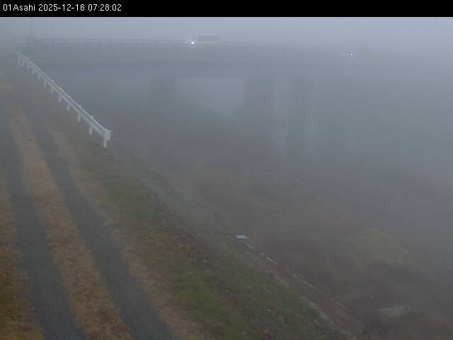 最新監視カメラ画像