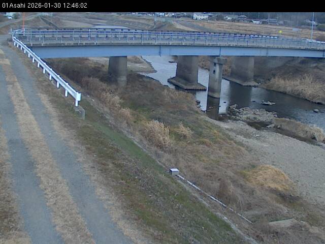 最新監視カメラ画像