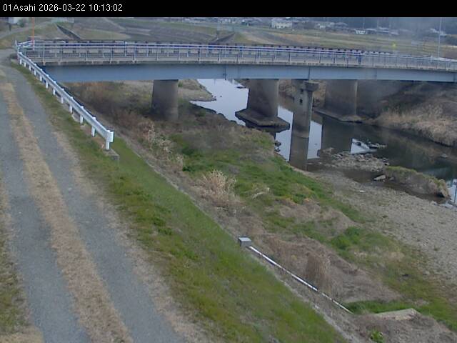 最新監視カメラ画像