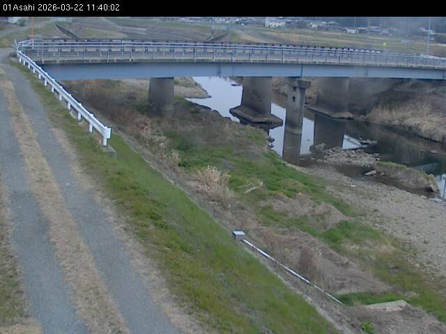 最新監視カメラ画像