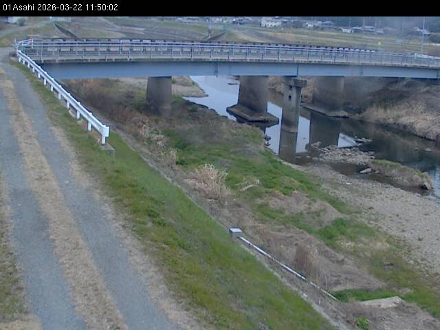 最新監視カメラ画像