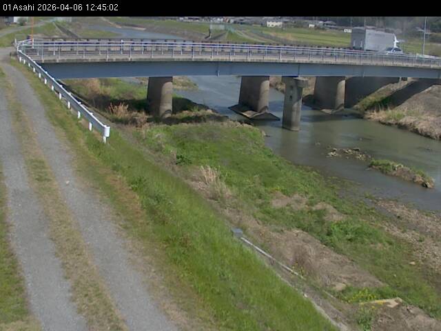 最新監視カメラ画像