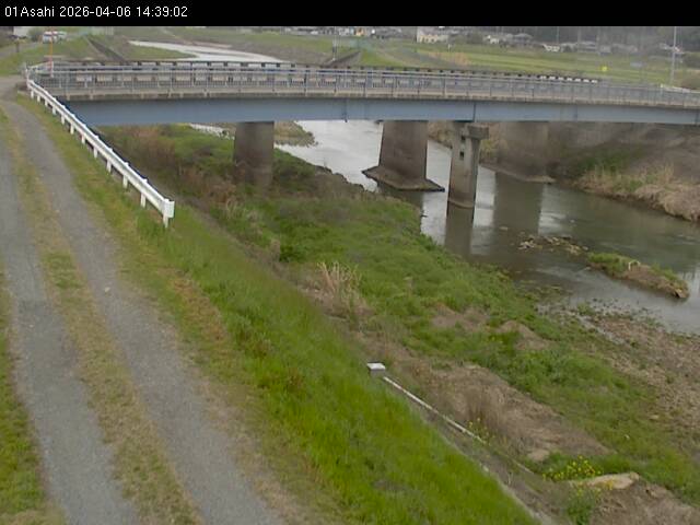 最新監視カメラ画像