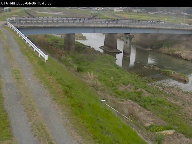 最新監視カメラ画像