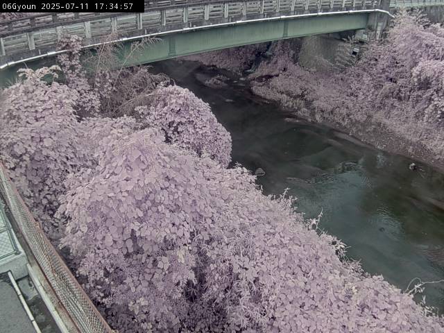 最新監視カメラ画像