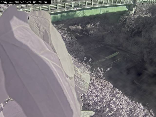 最新監視カメラ画像