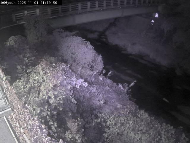 最新監視カメラ画像