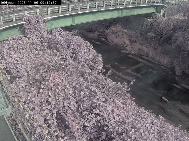 最新監視カメラ画像