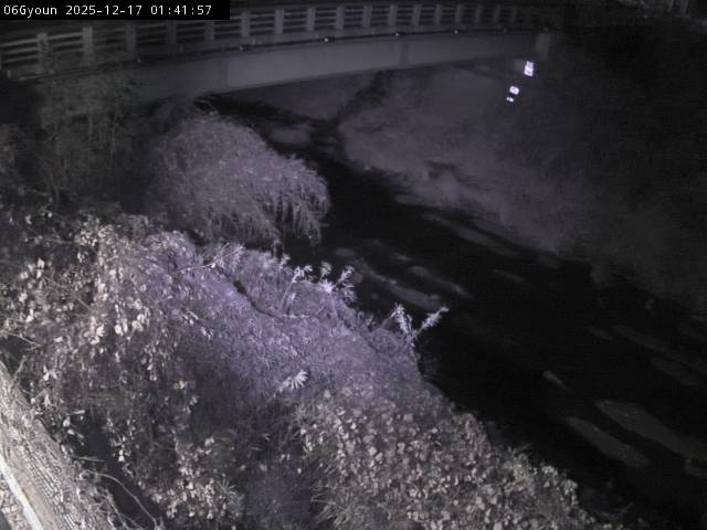 最新監視カメラ画像