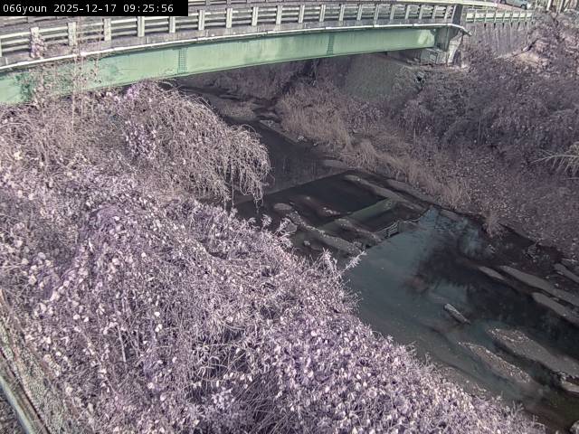 最新監視カメラ画像