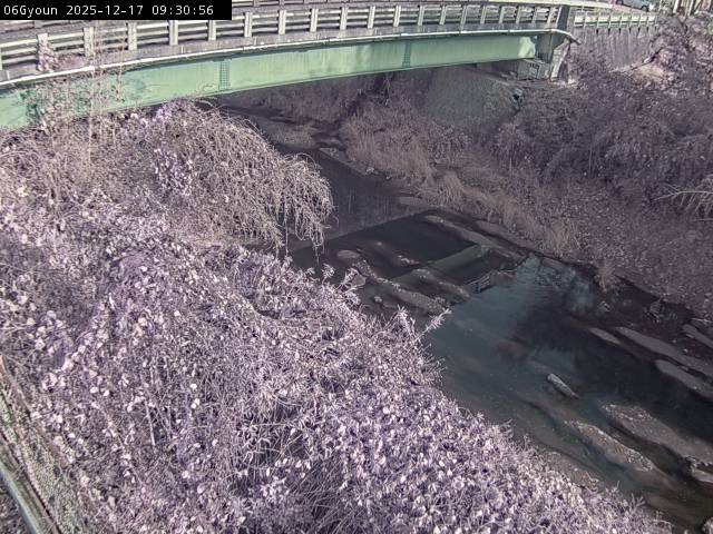 最新監視カメラ画像