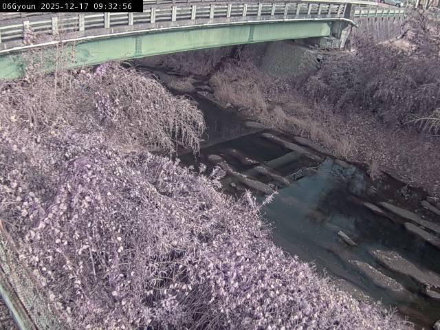 最新監視カメラ画像