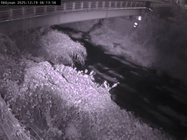 最新監視カメラ画像