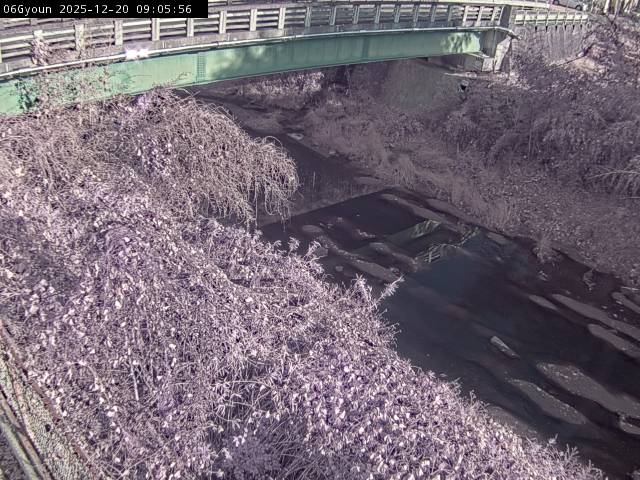 最新監視カメラ画像