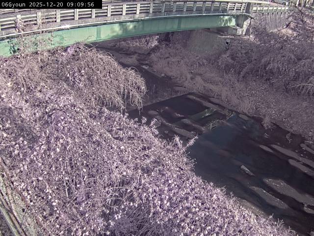 最新監視カメラ画像