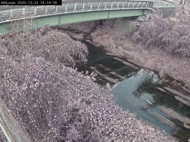 最新監視カメラ画像