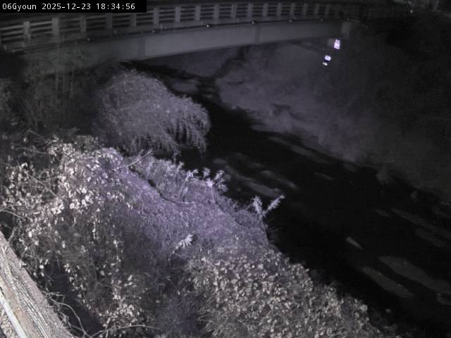 最新監視カメラ画像