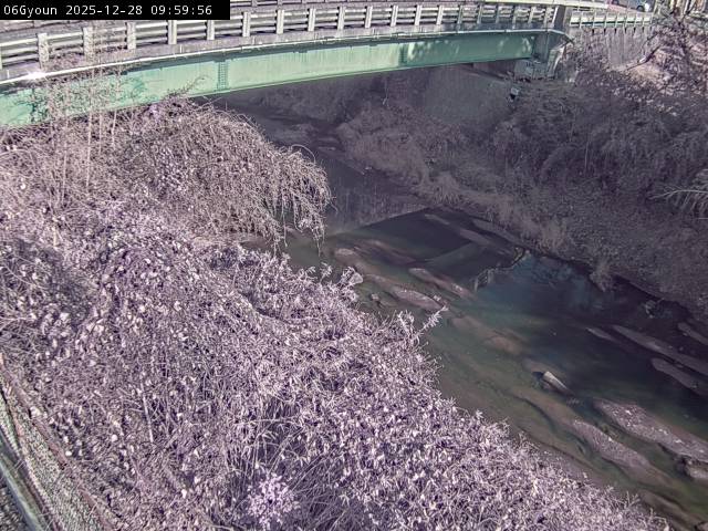 最新監視カメラ画像