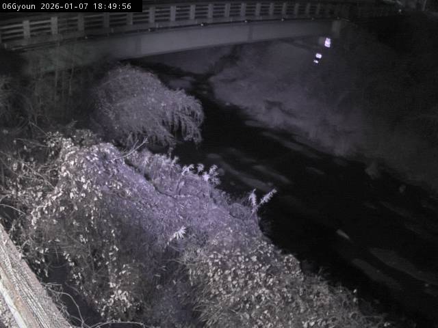 最新監視カメラ画像