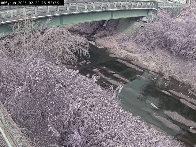 最新監視カメラ画像