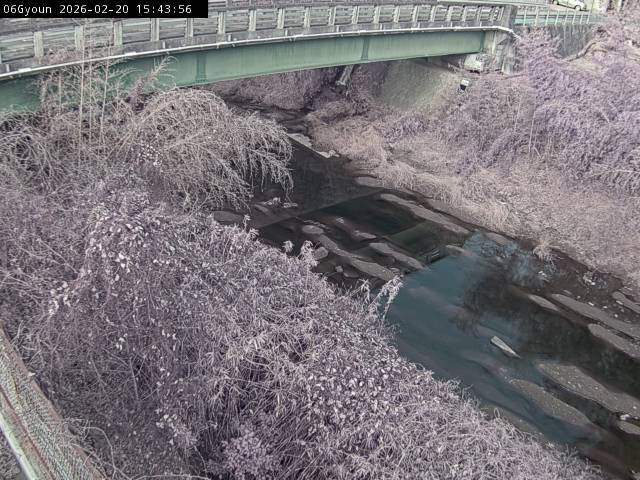 最新監視カメラ画像