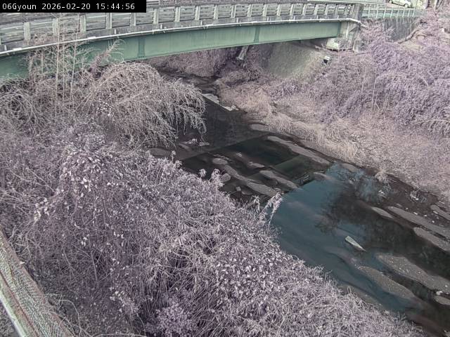 最新監視カメラ画像