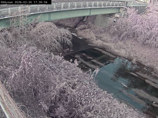 最新監視カメラ画像