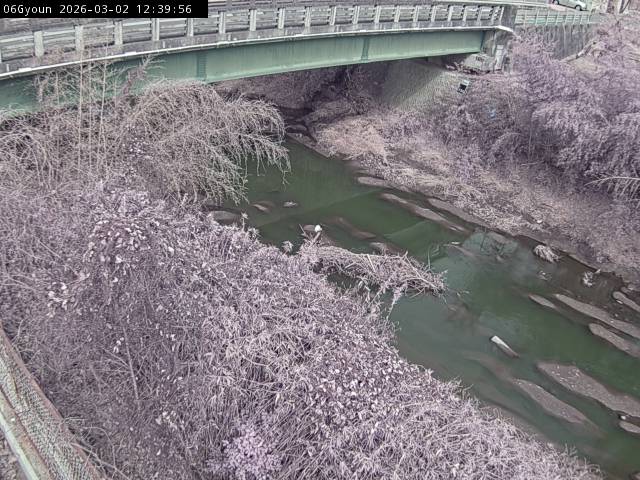 最新監視カメラ画像