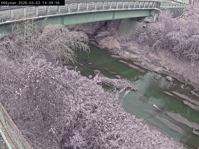 最新監視カメラ画像