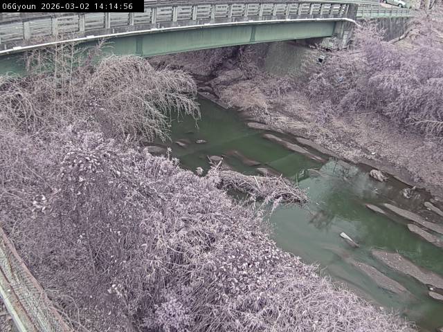 最新監視カメラ画像