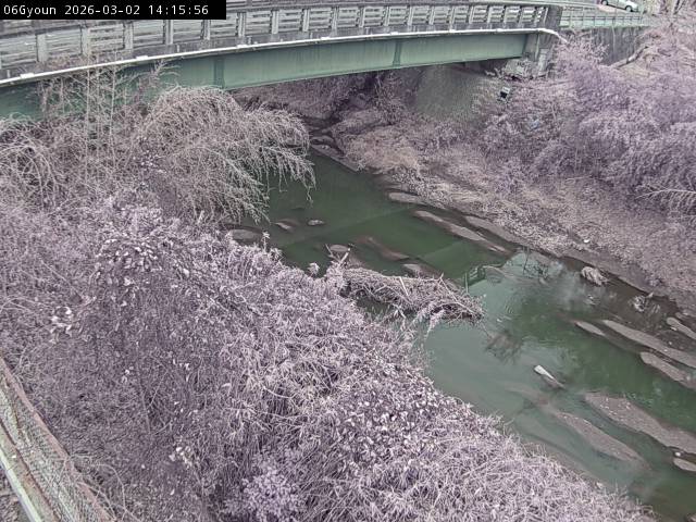 最新監視カメラ画像