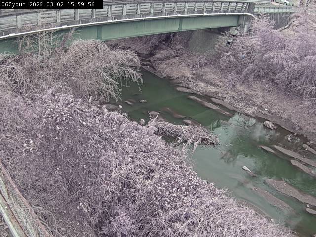 最新監視カメラ画像