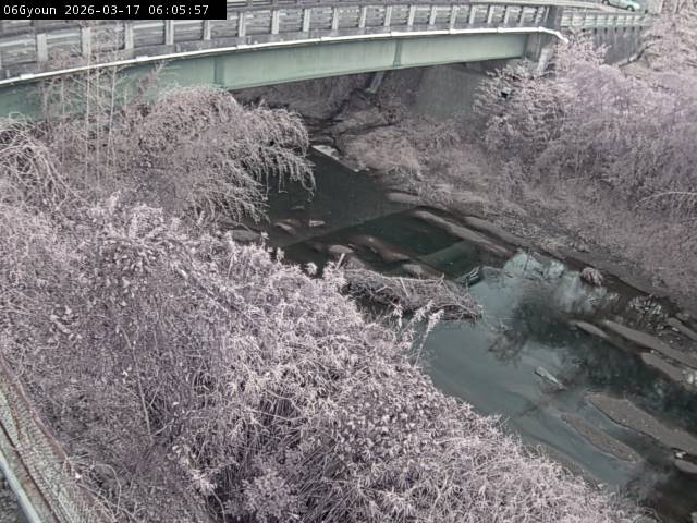 最新監視カメラ画像