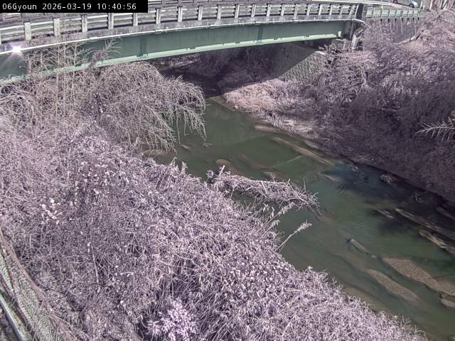 最新監視カメラ画像