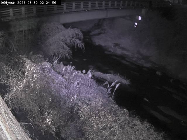 最新監視カメラ画像