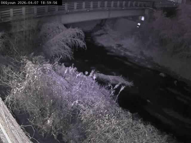 最新監視カメラ画像