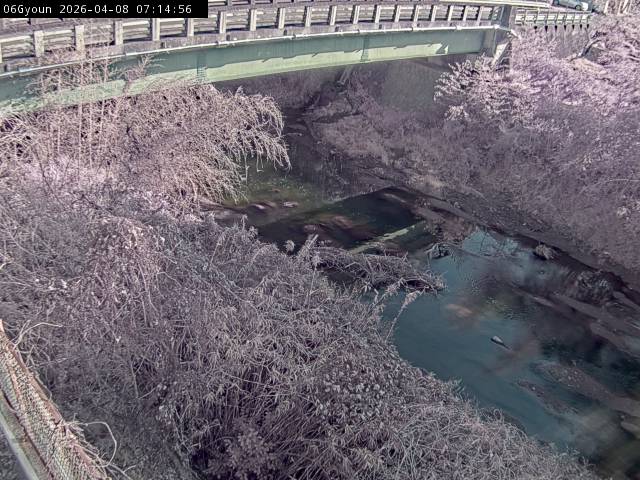 最新監視カメラ画像