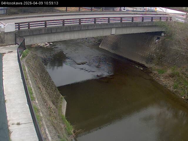 最新監視カメラ画像